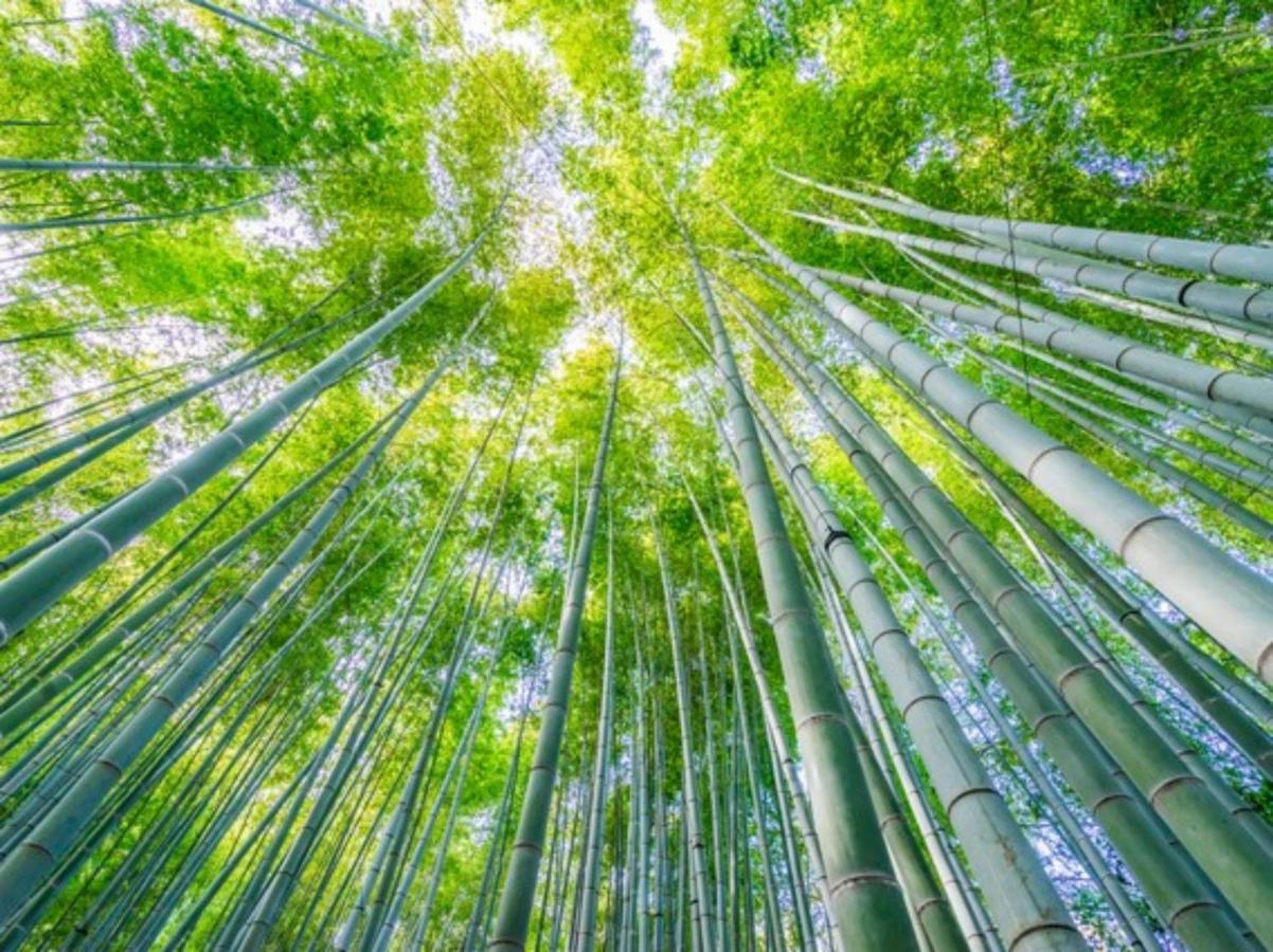 Kamakura Cocon Otel Dış mekan fotoğraf