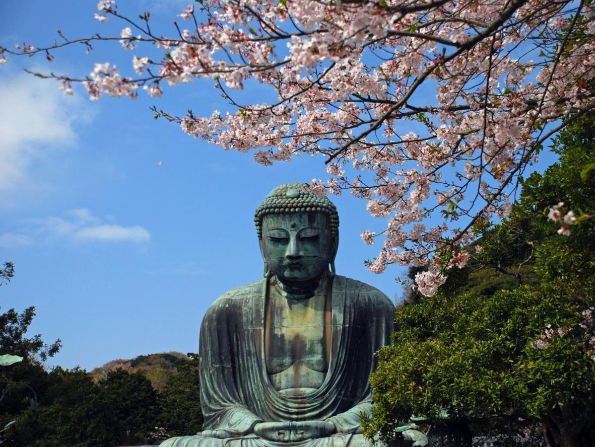 Kamakura Cocon Otel Dış mekan fotoğraf