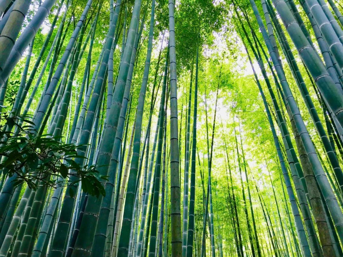 Kamakura Cocon Otel Dış mekan fotoğraf